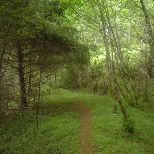 Cummins Creek Wilderness