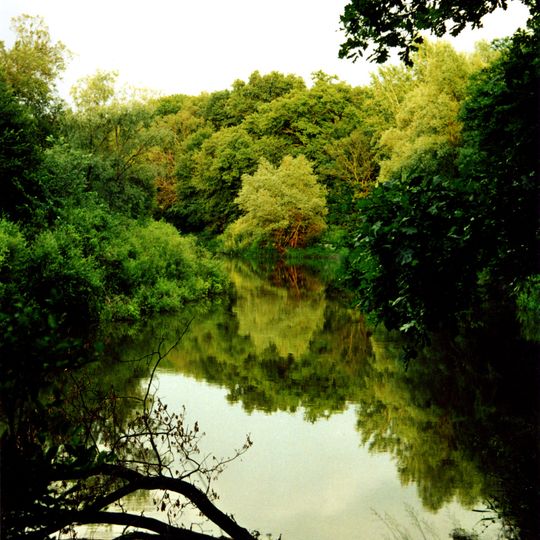 Landscape Reserve Komarivschyna