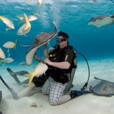 Stingray City, Grand Cayman