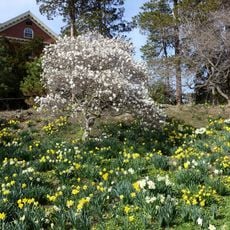 The Botanic Garden of Smith College