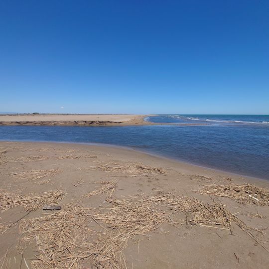 Platja dels Eucaliptus