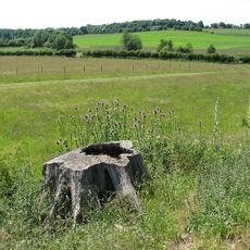 Venta Icenorum: Roman town and associated prehistoric and medieval remains