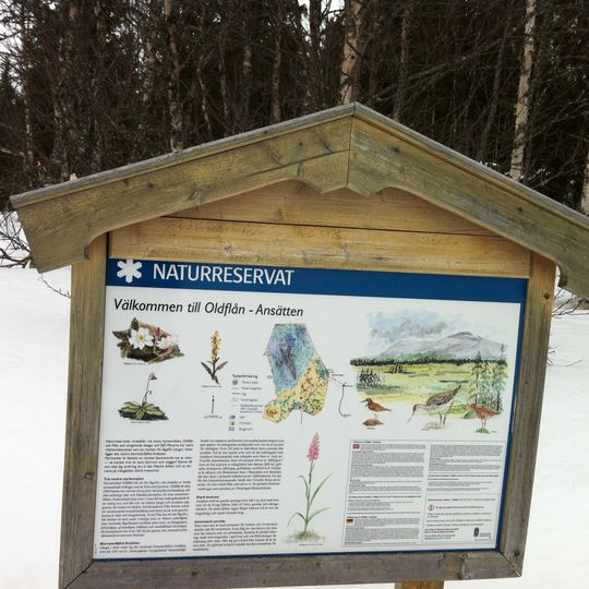 Oldflån-Ansätten Nature Reserve