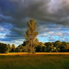 Cannon Hill Common