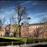 University of Sheffield