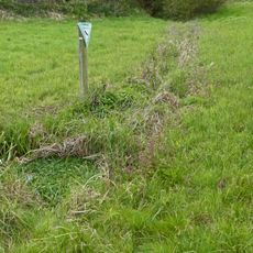 Naßwiese Diebshalde