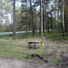 Podstavec severně od Hvozdu u rozcestí v lese