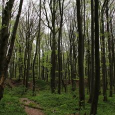 Schürfgrubenfeld am Moritzberg bei Diepersdorf
