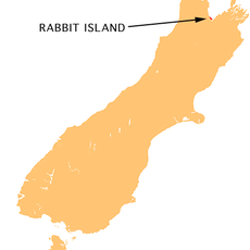Moturoa Island / Rabbit Island