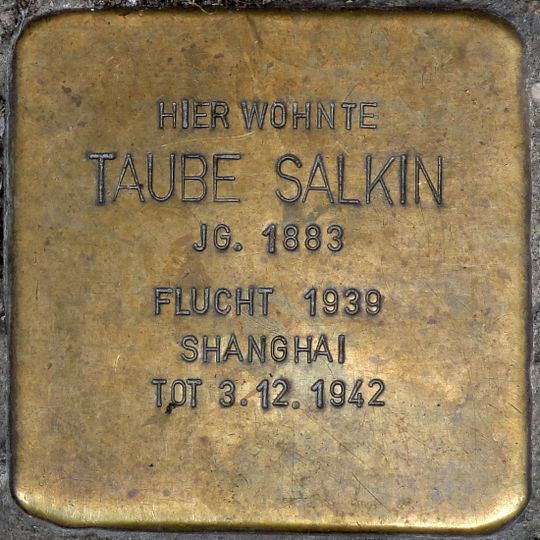 Stolperstein dedicated to Taube Salkin