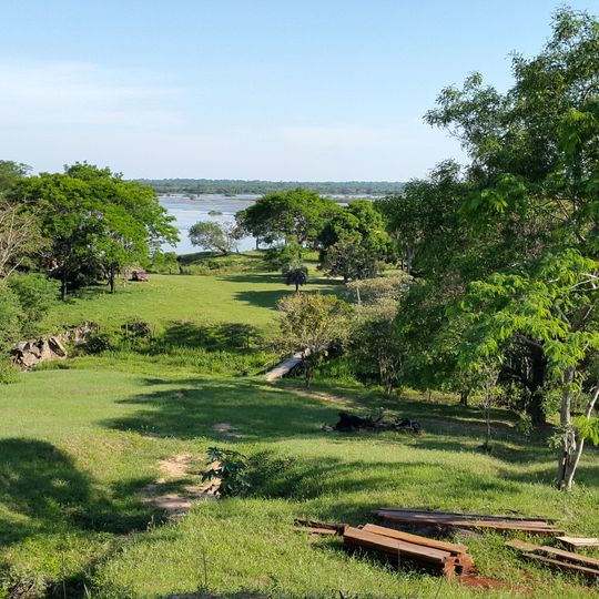 Alto Paraná Atlantic forests