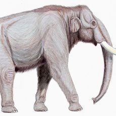 West Runton Elephant