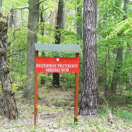 Rezerwat przyrody Miejski Bór