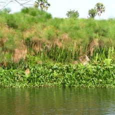 Lago Kyoga
