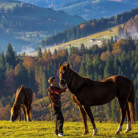 Cheremosh National Nature Park