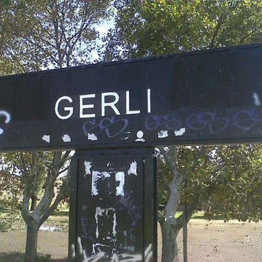 Gerli