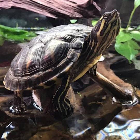 Maison de la Pêche et de la Nature