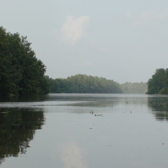 Orinoco Delta