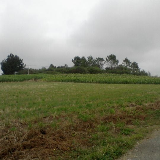 Castro da Pena Negra