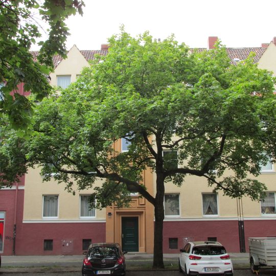 Berckhusenstraße 61, Hannover