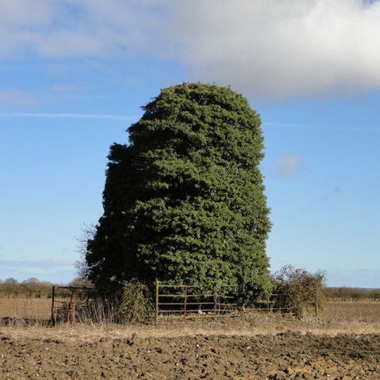 Church of St Remigius