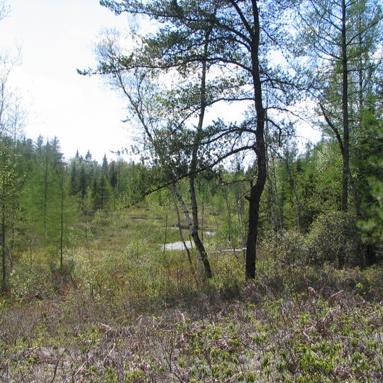 Tourbière du Lac à la Tortue