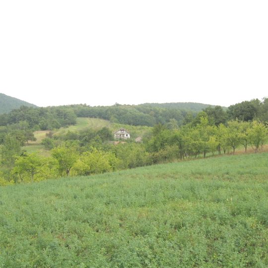 Distretto di Toplica