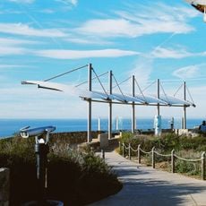 Whale Overlook