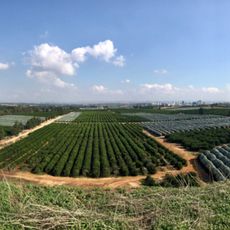 Landfill Hill Raanana