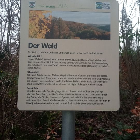 Waldpfad Eberstadt