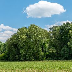 Bachtal am Gut Volkhausen