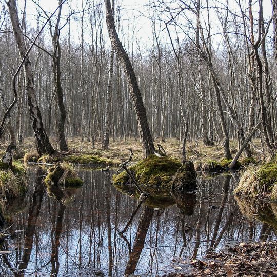 Schorfheide-Chorin Biosphere Reserve