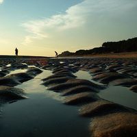 Departamento de San José