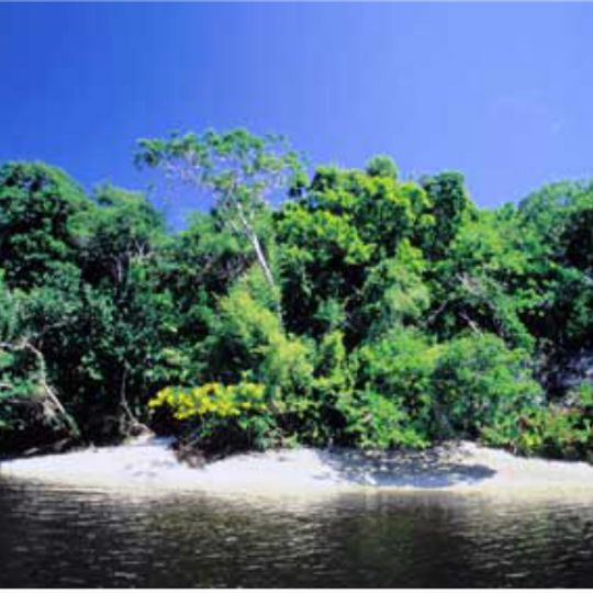 Una Biological Reserve