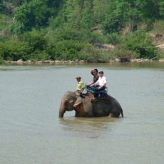 Yok Don National Park
