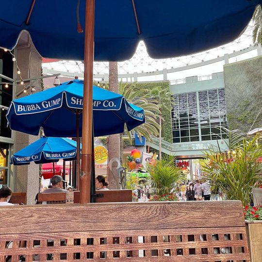 Bubba Gump Shrimp Co.