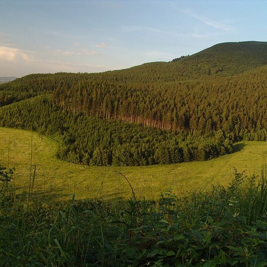 Javornícka hornatina