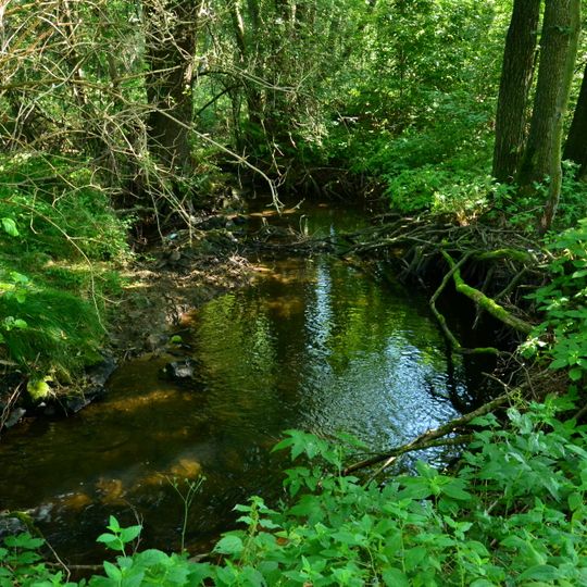 Bedřichovský potok