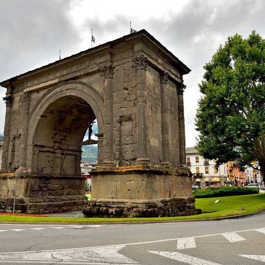 Platano secolare dell'Arco di Augusto