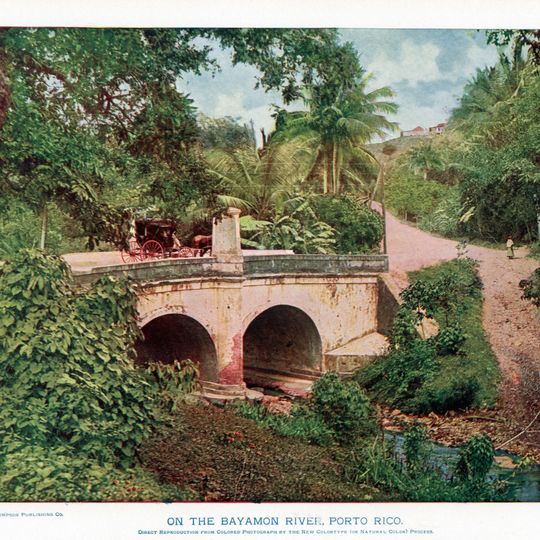 Puente La Concepcion