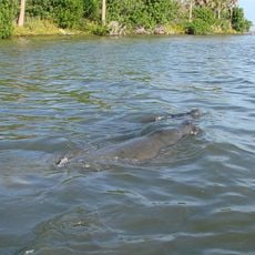 Mosquito Lagoon