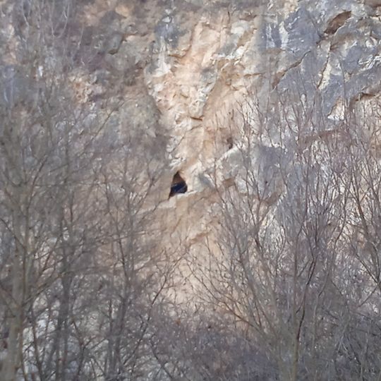 Róka-hegyi Bagolytanya