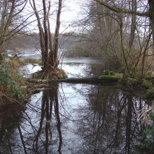 Ostenholzer Moor und Meißendorfer Teiche