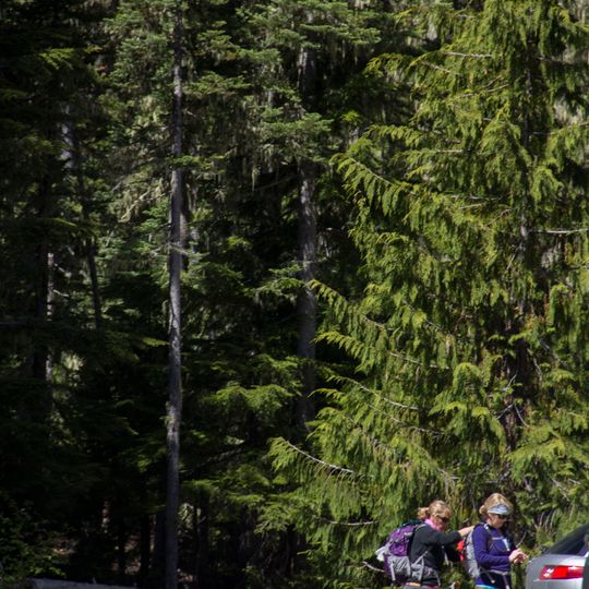 White River Campground