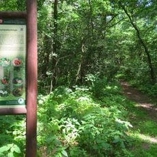 Rezerwat im. Bolesława Hryniewieckiego