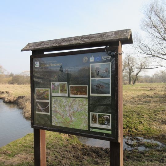 Niva Ploučnice u Žizníkova