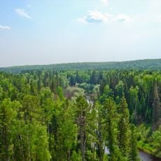 Reserva natural Yuganski