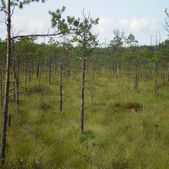 Berezyński Rezerwat Biosfery