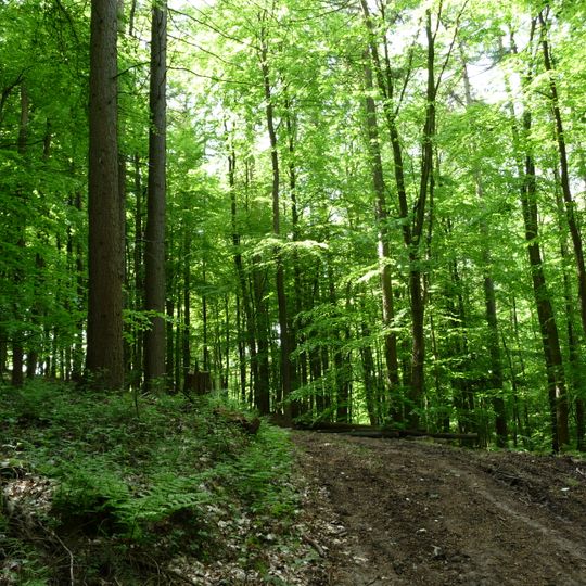 Limberg und Offelter Berg