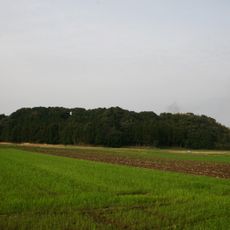 Antokudai Site